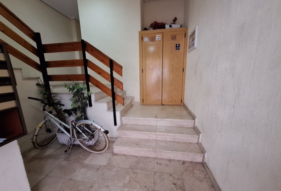 Herverkoop - Studio - Torrevieja - El Acequión - Los Náufragos