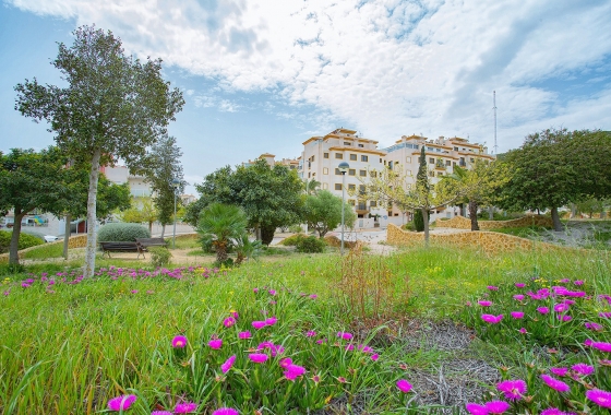 Reventa - Apartamento / piso - Guardamar del Segura - Los Secanos