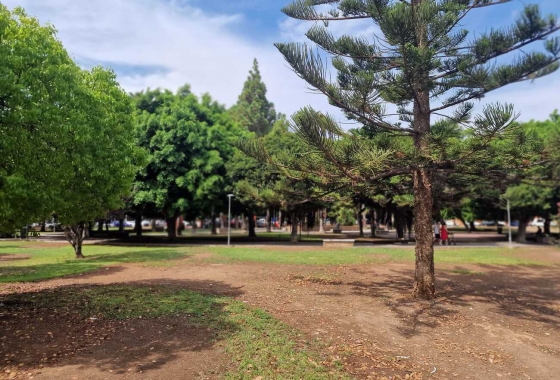 Herverkoop - Appartement / flat - Torrevieja - Costa Blanca