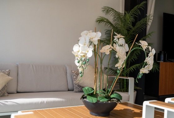 Wiederverkauf - Penthouse - Orihuela Costa - Costa Blanca