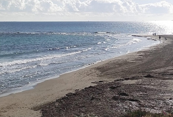 Wiederverkauf - Stadthaus - Pilar de la Horadada - La Torre De La Horadada