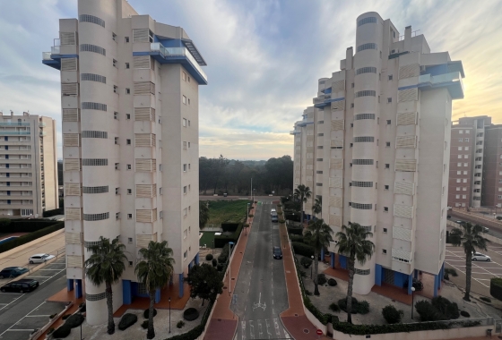 Resale - Apartment / flat - Guardamar del Segura - Avenida del Puerto