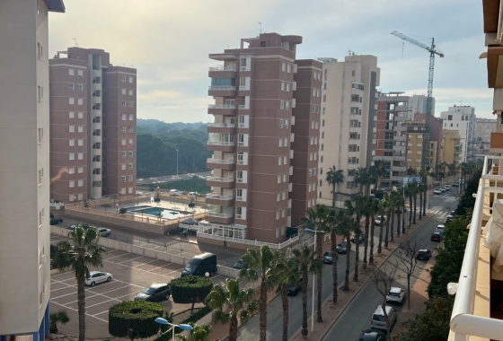 Resale - Apartment / flat - Guardamar del Segura - Avenida del Puerto