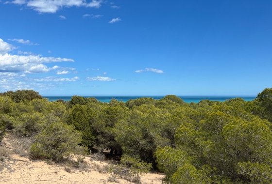 Resale - Apartment / flat - Guardamar del Segura - Avenida del Puerto