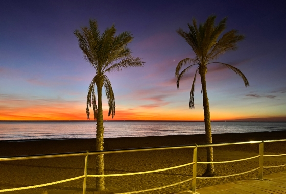 Resale - Apartment / flat - Guardamar del Segura - Avenida del Puerto