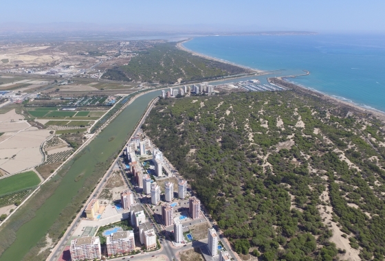 Resale - Apartment / flat - Guardamar del Segura - Avenida del Puerto