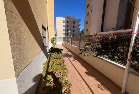 Reventa - Apartamento / piso - Guardamar del Segura - Guardamar Del Segura