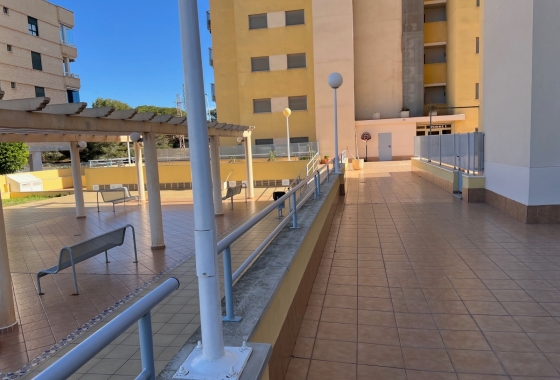 Reventa - Apartamento / piso - Guardamar del Segura - Guardamar Del Segura