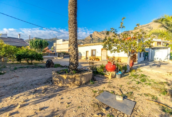 Herverkoop - Finca - Orihuela - Raiguero De Bonanza