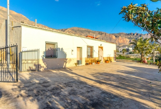 Herverkoop - Finca - Orihuela - Raiguero De Bonanza