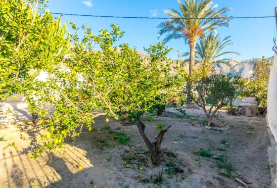 Herverkoop - Finca - Orihuela - Raiguero De Bonanza