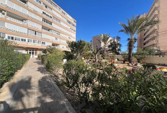 Återförsäljning - Lägenhet / lägenhet - La Mata - 