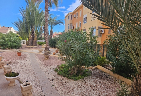 Resale - Apartment / flat - Torrevieja - La Mata