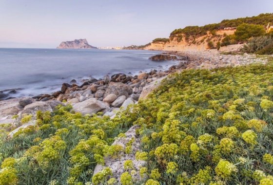 Neue Gebäude - Villa - Benissa - Racó Del Galeno