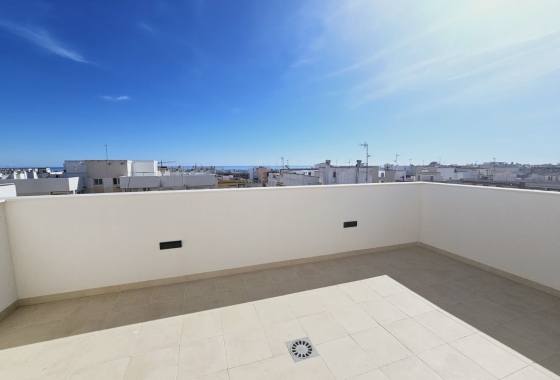 Neue Gebäude - Wohnung - Guardamar del Segura - Centro