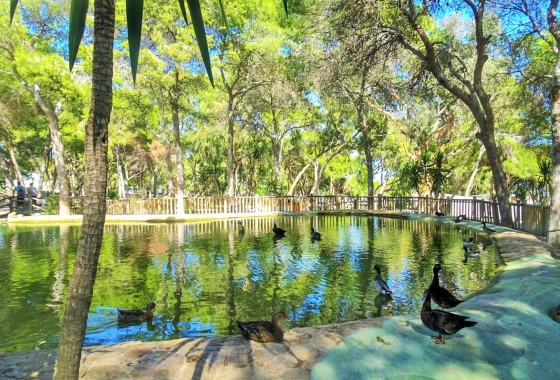 Neue Gebäude - Wohnung - Guardamar del Segura - Centro