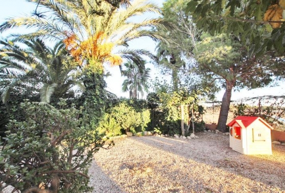 Wiederverkauf - Finca - Almoradí - Comunidad Valenciana