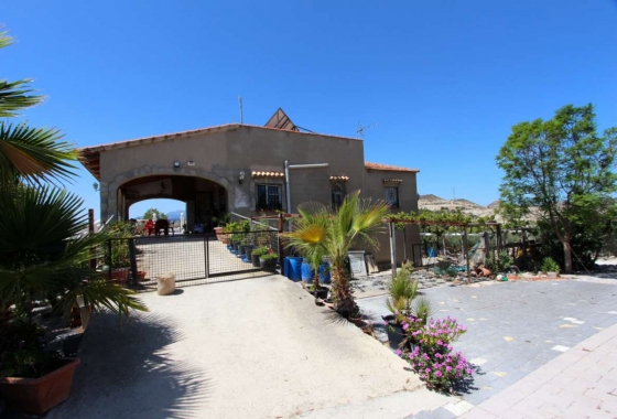 Wiederverkauf - Villa - Albudeite - Inland