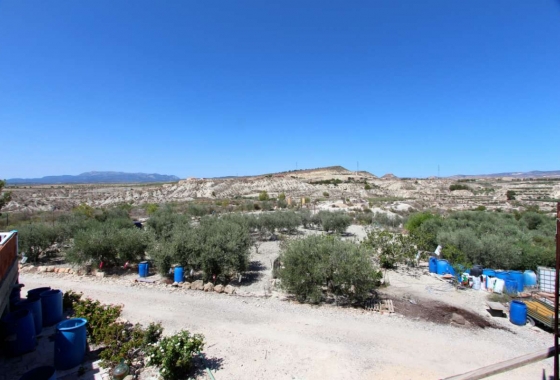 Wiederverkauf - Villa - Albudeite - Inland