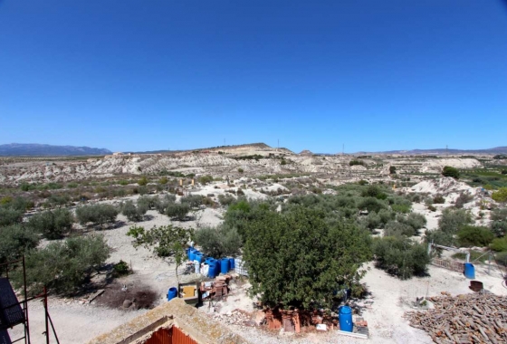 Wiederverkauf - Villa - Albudeite - Inland