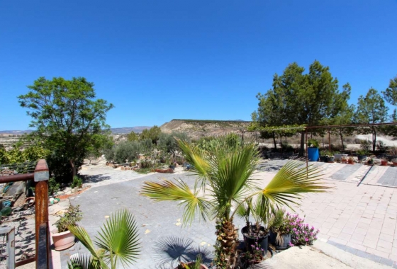 Wiederverkauf - Villa - Albudeite - Inland