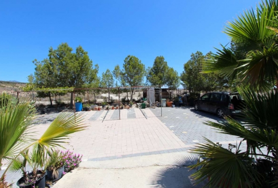 Wiederverkauf - Villa - Albudeite - Inland