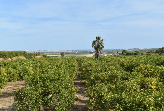Wiederverkauf - Villa - Torremendo - Costa Blanca