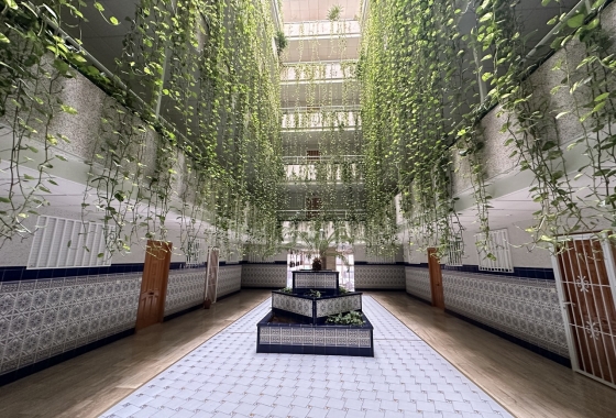 Revente - Appartement - Torrevieja - Costa Blanca