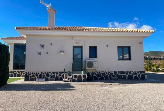 Nieuwbouw Woningen - Villa - Pinoso - Camino Del Prado