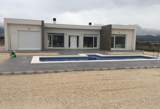 Nieuwbouw Woningen - Villa - Pinoso - Camino Del Prado