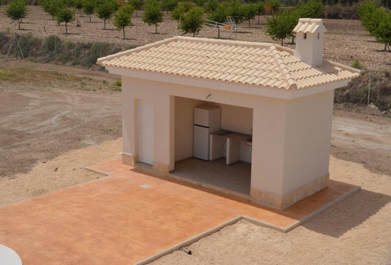 Nieuwbouw Woningen - Villa - Pinoso - Camino Del Prado