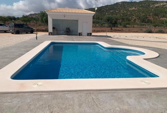 Nieuwbouw Woningen - Villa - Pinoso - Camino Del Prado