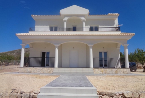 Nieuwbouw Woningen - Villa - Pinoso - Camino Del Prado