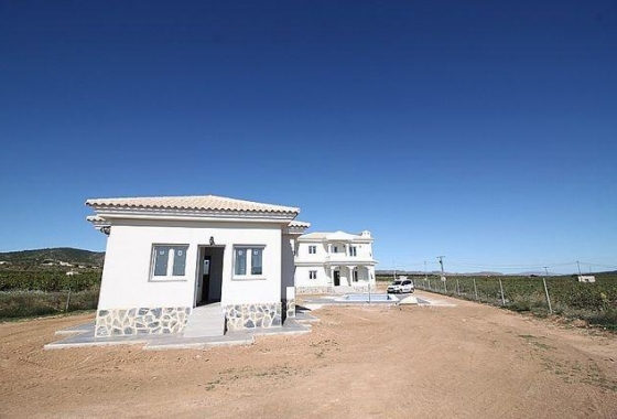 Nieuwbouw Woningen - Villa - Pinoso - Camino Del Prado