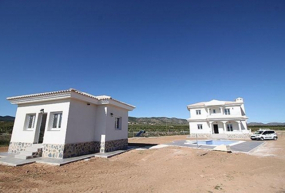 Nieuwbouw Woningen - Villa - Pinoso - Camino Del Prado