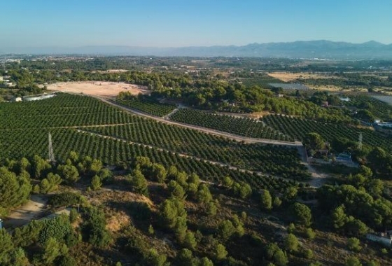Neue Gebäude - Wohnung - Godella - Campolivar