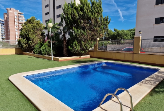 Herverkoop - Appartement / flat - Guardamar del Segura - SUP-7 & Port Area