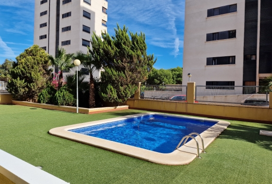 Herverkoop - Appartement / flat - Guardamar del Segura - SUP-7 & Port Area