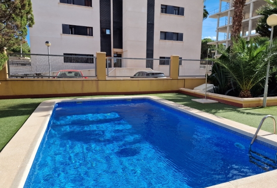 Herverkoop - Appartement / flat - Guardamar del Segura - SUP-7 & Port Area