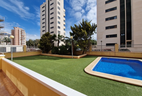 Herverkoop - Appartement / flat - Guardamar del Segura - SUP-7 & Port Area