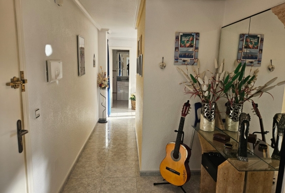 Wiederverkauf - Wohnung - Guardamar del Segura - Centro