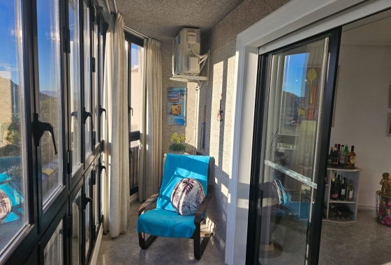 Wiederverkauf - Wohnung - Guardamar del Segura - Centro