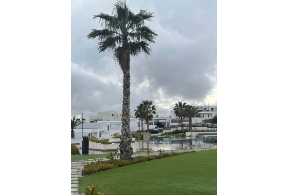 Reventa - Apartamento / piso - Finestrat