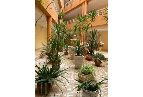 Herverkoop - Appartement / flat - San Miguel de Salinas - Pueblo 9