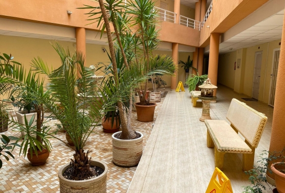 Herverkoop - Appartement / flat - San Miguel de Salinas - Pueblo 9