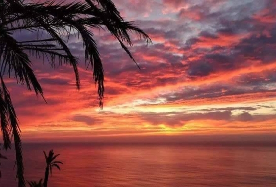 Neue Gebäude - Bungalow - Torrevieja - Altos del Sol