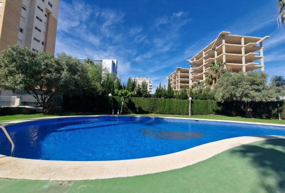 Herverkoop - Appartement / flat - Guardamar del Segura - SUP-7 & Port Area