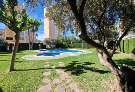 Herverkoop - Appartement / flat - Guardamar del Segura - SUP-7 & Port Area