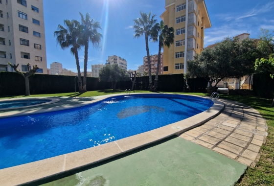 Herverkoop - Appartement / flat - Guardamar del Segura - SUP-7 & Port Area