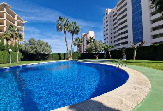 Herverkoop - Appartement / flat - Guardamar del Segura - SUP-7 & Port Area